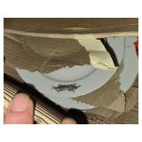 Lot of (24) 6 3/4" Plates