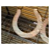 Lot of (3) Horse Shoes