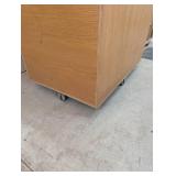 47" L x 32" W x 37" H - Huge Strong Rolling Storage Crate - On Casters