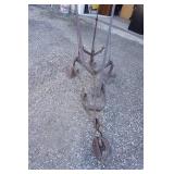 Antique Horse Drawn Cultivator