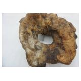 wood burl decor