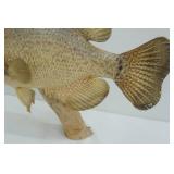 Mounted Crappie w/ Plaque. January 15, 2000. Norway Lake
