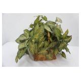 Artificial Plant and Planter Basket (wicker?)