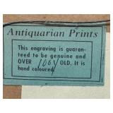 DR - Pair of Antique Hand-Colored Bird Engravings Montagu