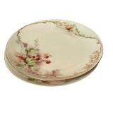 LR - Vintage Haviland France and MZ Austria Hand Painted Porcelain Dish Set with Covered Vegetable Dish
