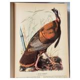 LR - 1937 The Birds of America by John James Audubon Macmillan Company