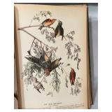 LR - 1937 The Birds of America by John James Audubon Macmillan Company
