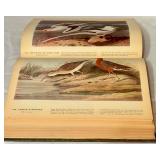 LR - 1937 The Birds of America by John James Audubon Macmillan Company