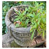 O - Decorative Cement Planter Pot with Greek Key Design