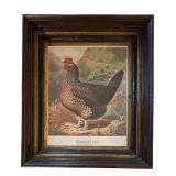 FR - "Dorking Hen" Print by JW Ludlow