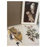 K - Audubon Birds of America Print Portfolio with Commentary by Roger Tory Peterson