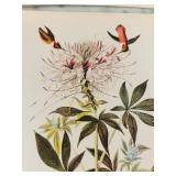 K - Audubon Birds of America Print Portfolio with Commentary by Roger Tory Peterson