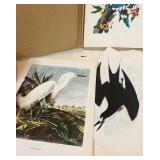 K - Audubon Birds of America Print Portfolio with Commentary by Roger Tory Peterson