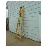 Werner Fiberglass Step Ladder 10