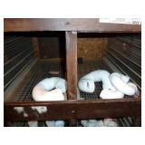 Bins PVC Fittings Middle 2 Rows