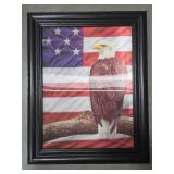 3D American Eagle Picture