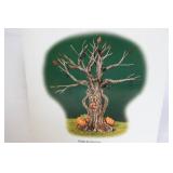 Department 56 Halloween Village Accessories Scary Twisted Trees and Lit Spooky Tree Set