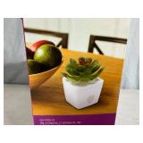 New Zendozones Fruit Fly Trap