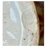 Large Decorative Porcelain Vase with Burgundy and Gold Floral Pattern