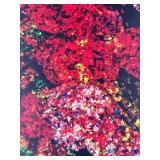 Andre Burian Reproduction on Canvas in Ornate Gold Frame