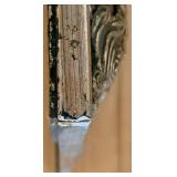 Reproduction on Canvas of 