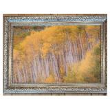 Framed Autumn Birch Forest Landscape Reproduction on Canvas Painting