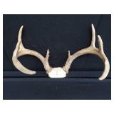 METAL LAMP / ANTLERS