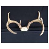 METAL LAMP / ANTLERS