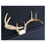 METAL LAMP / ANTLERS