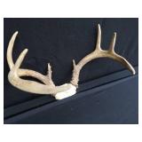 METAL LAMP / ANTLERS