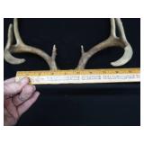 METAL LAMP / ANTLERS