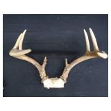 METAL LAMP / ANTLERS