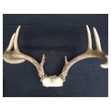 METAL LAMP / ANTLERS