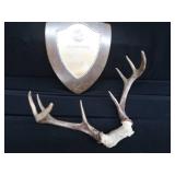ANTLERS / WOODEN TROPHY