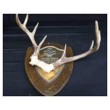 ANTLERS / WOODEN TROPHY