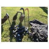 GOOSE DECOYS