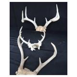 ANTLERS