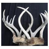 ANTLERS