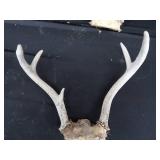 ANTLERS
