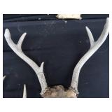 ANTLERS