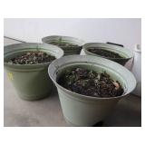 4 LARGE FLOWER POTS