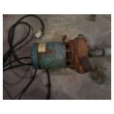 PUMP WITH LONG PVC HOSE