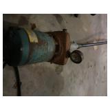 PUMP WITH LONG PVC HOSE