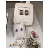 Large Assorted Costume Jewelry Collection with Earrings, Brooches, and Accessories