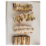 Collection of Shell Necklaces and Bracelets