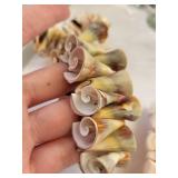 Collection of Shell Necklaces and Bracelets
