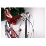 1973 Schwinn Sting-Ray Apple Krate Bicycle