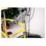 1971 Schwinn Manta Ray 5-Speed Bicycle