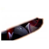 1981 Schwinn Lil Tiger - New in Box