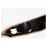 1981 Schwinn Lil Tiger - New in Box